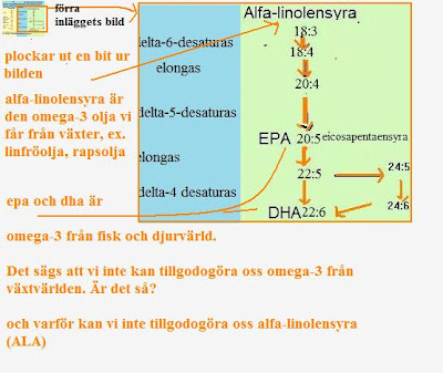 linolsyra finns i linolsyra finns i